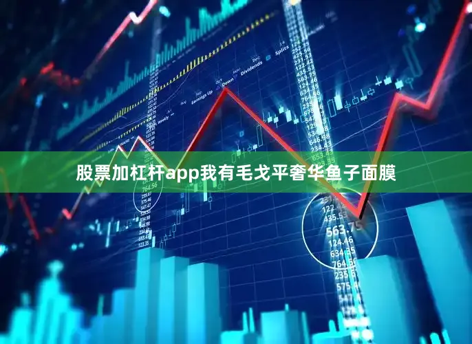 股票加杠杆app我有毛戈平奢华鱼子面膜