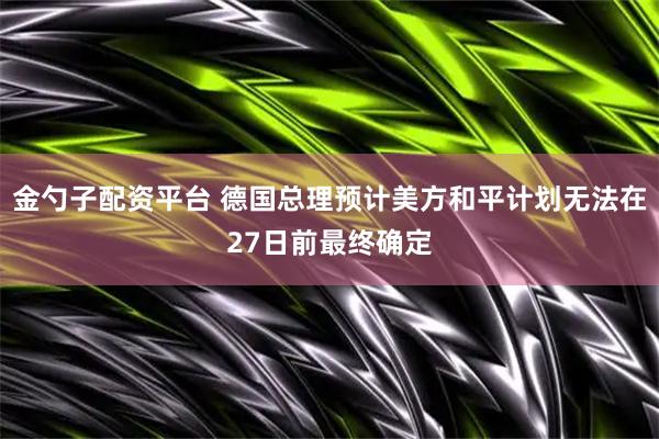 金勺子配资平台 德国总理预计美方和平计划无法在27日前最终确定