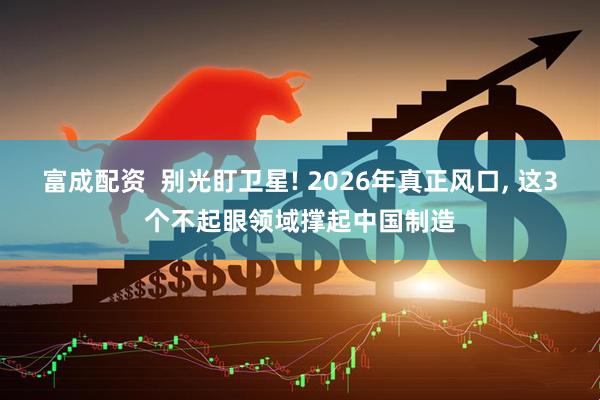 富成配资  别光盯卫星! 2026年真正风口, 这3个不起眼领域撑起中国制造